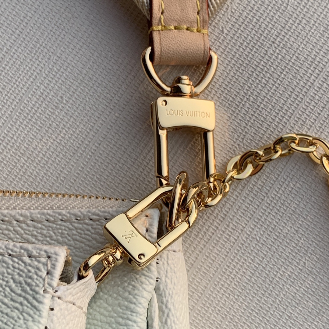 Louis Vuitton Multi Pochette Accessories Bag