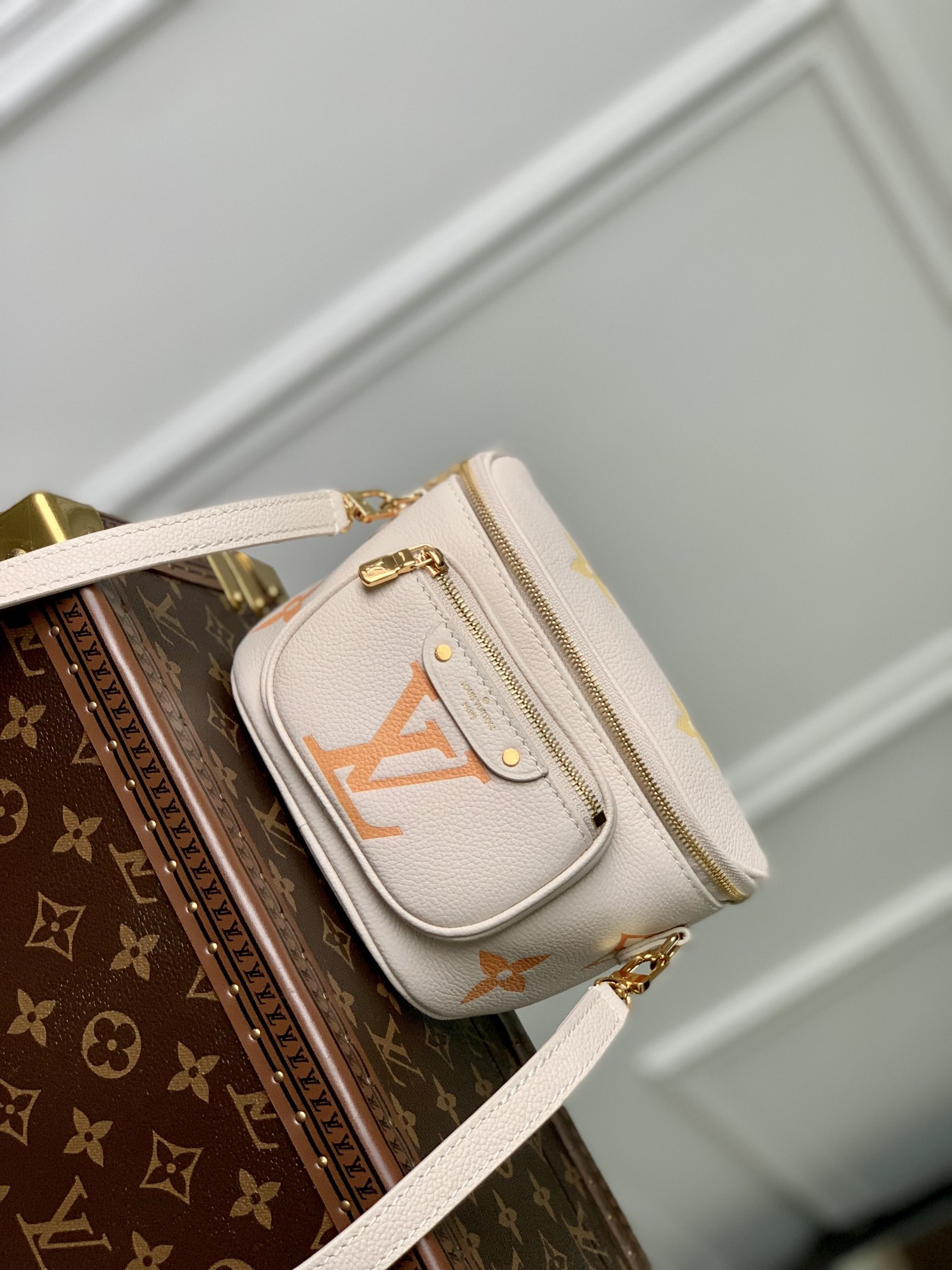 Louis Vuitton Bumbag Bag