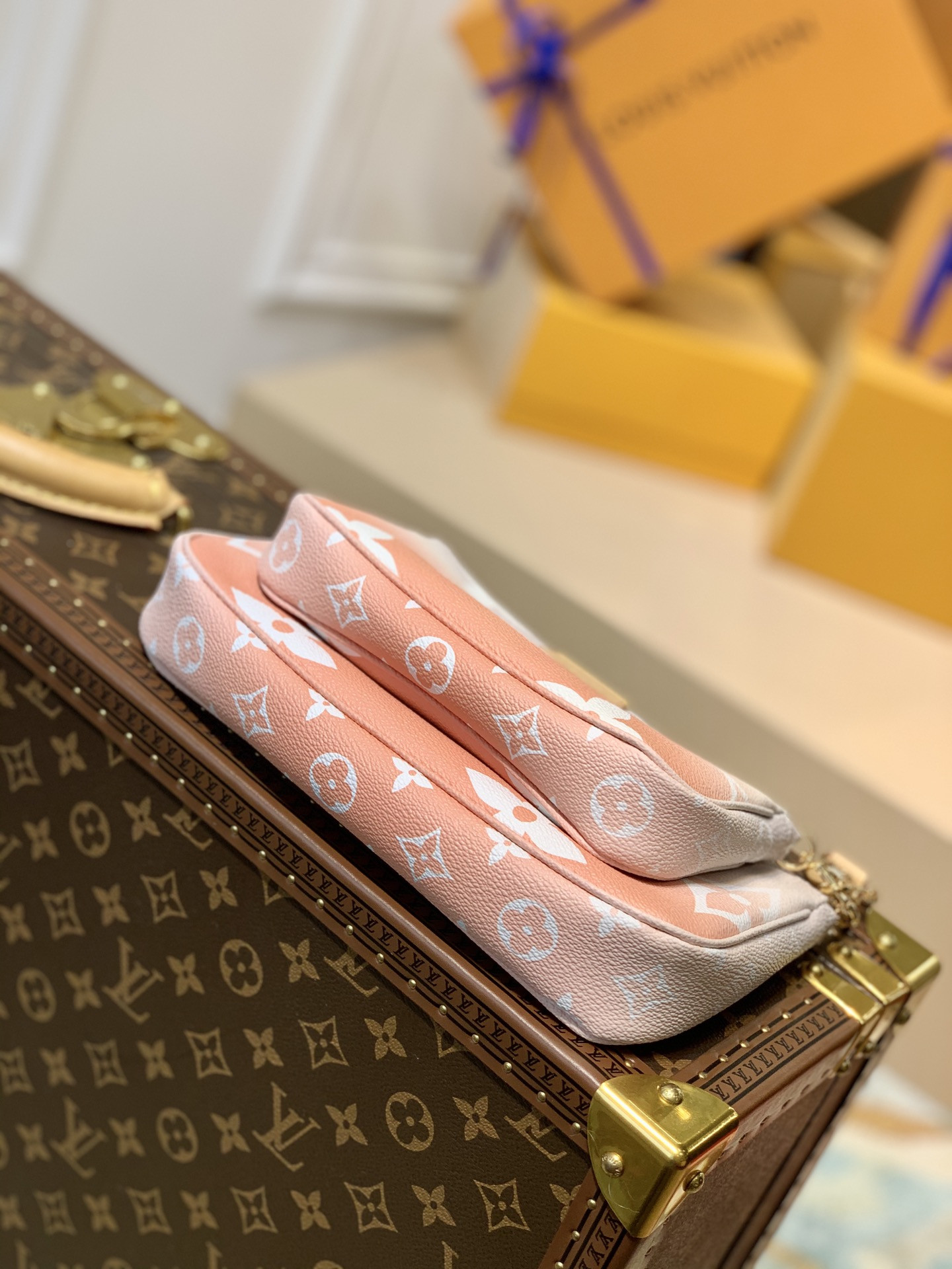 Louis Vuitton Multi Pochette Accessories Bag