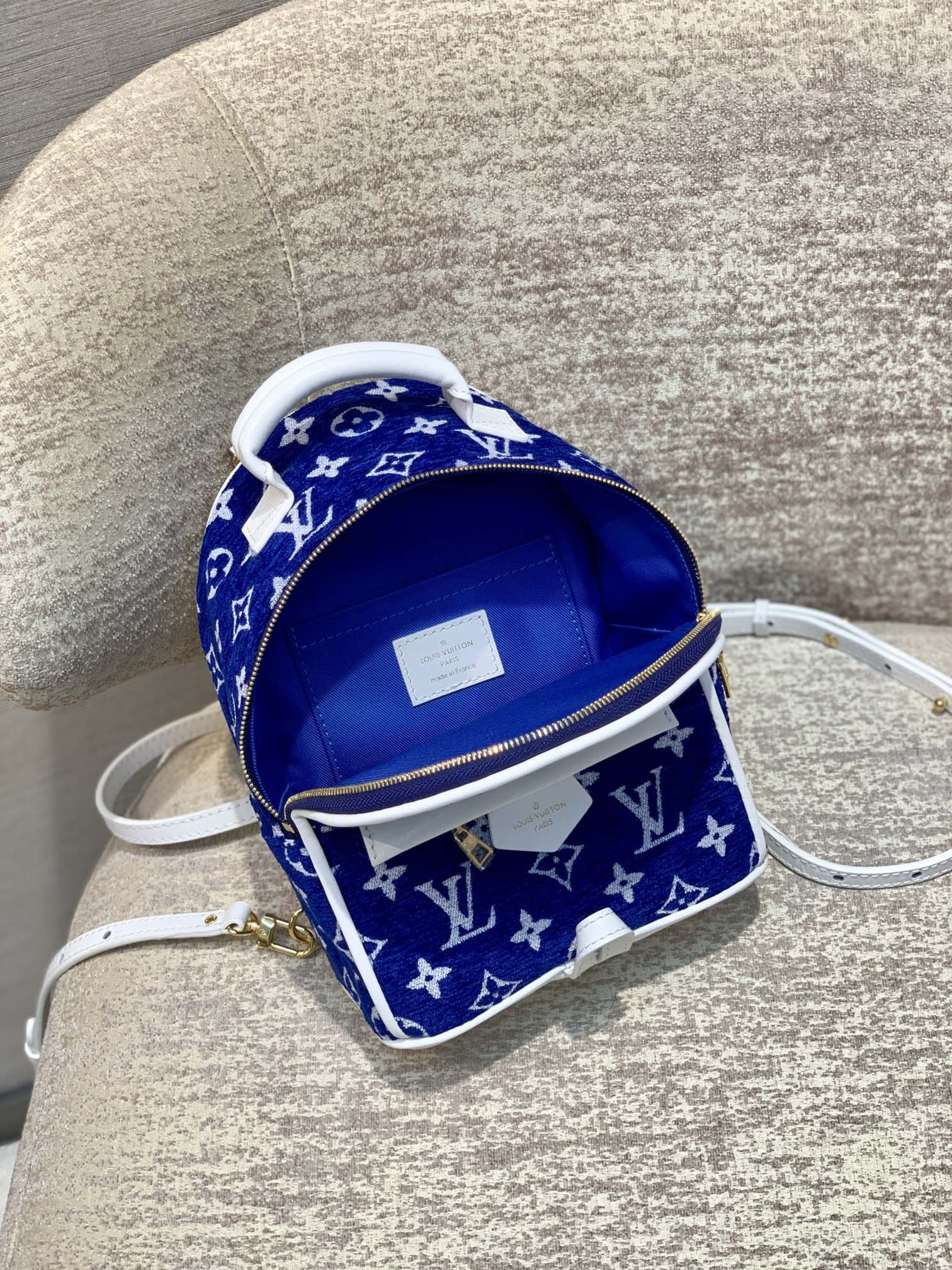 Louis Vuitton Palm Springs Bag