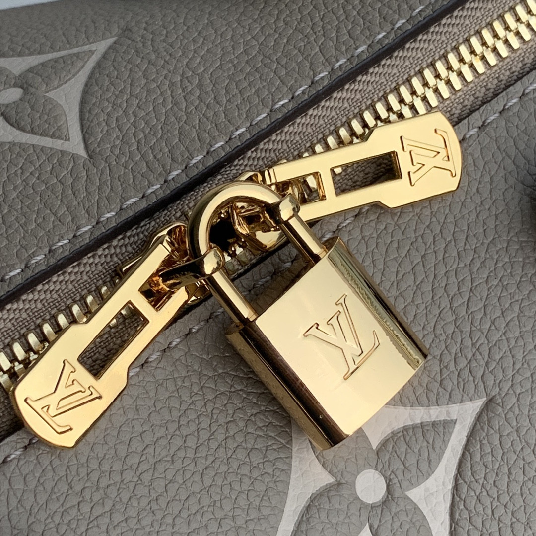 Louis Vuitton Speedy Bandoulière 25 Bag