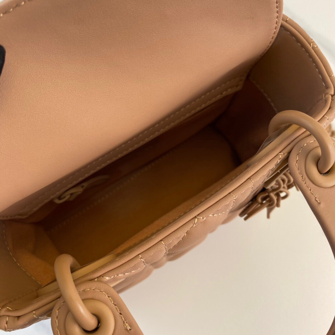 Mini Lady Dior Bag