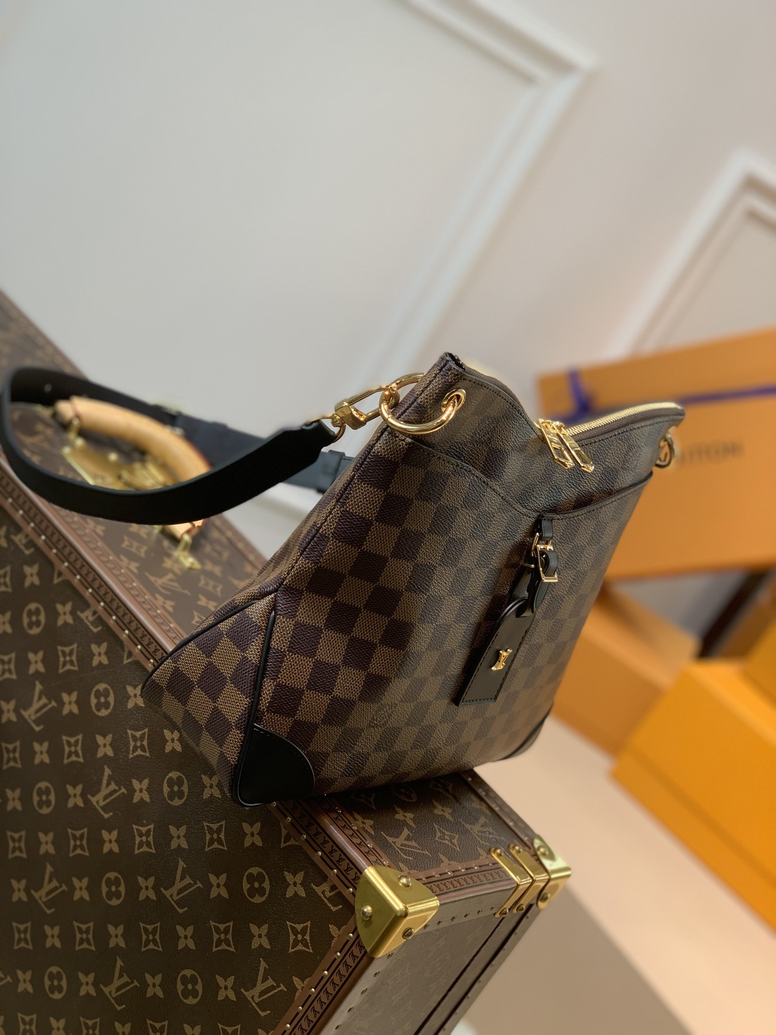 Louis Vuitton Odéon Bag
