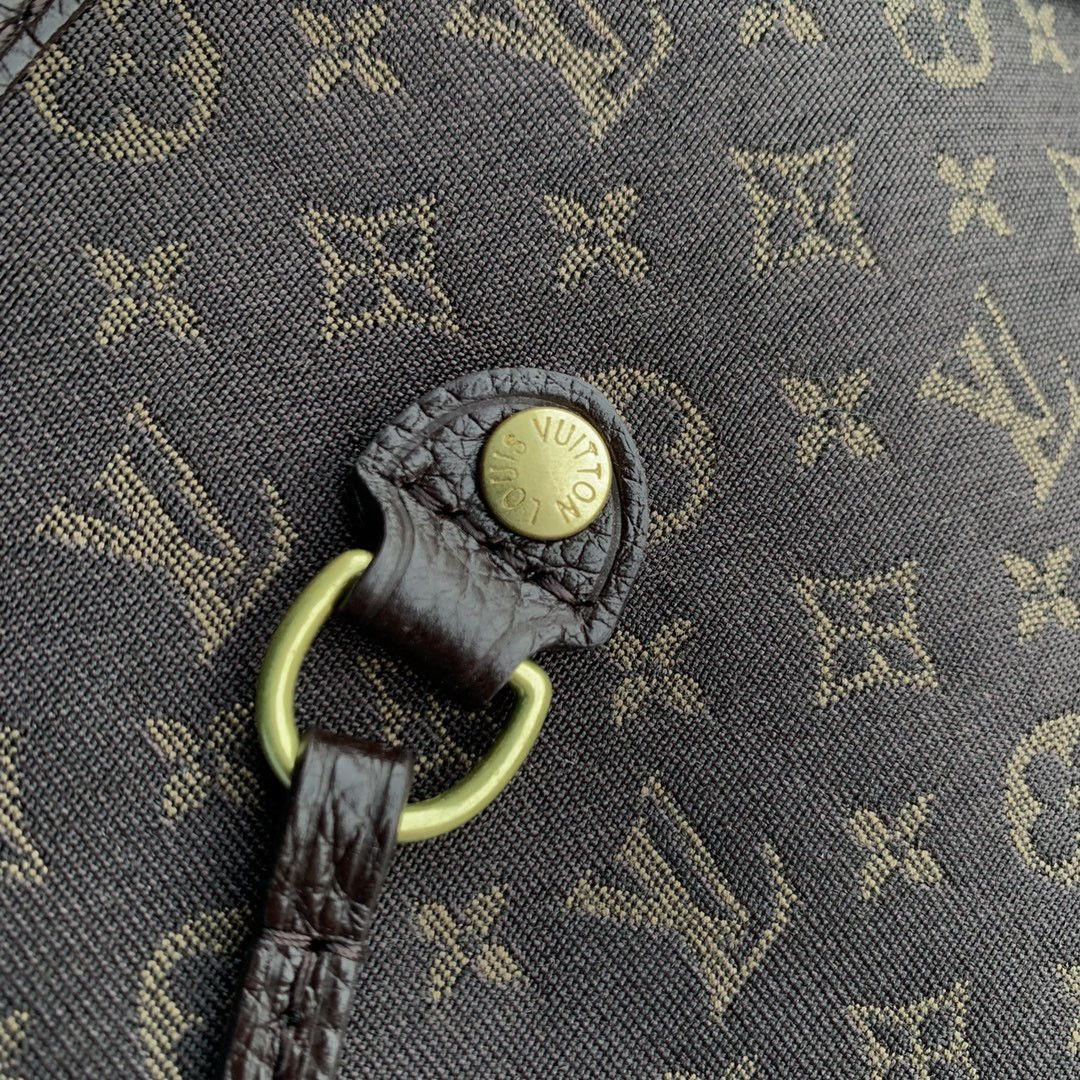 Louis Vuitton Neverfull Bag