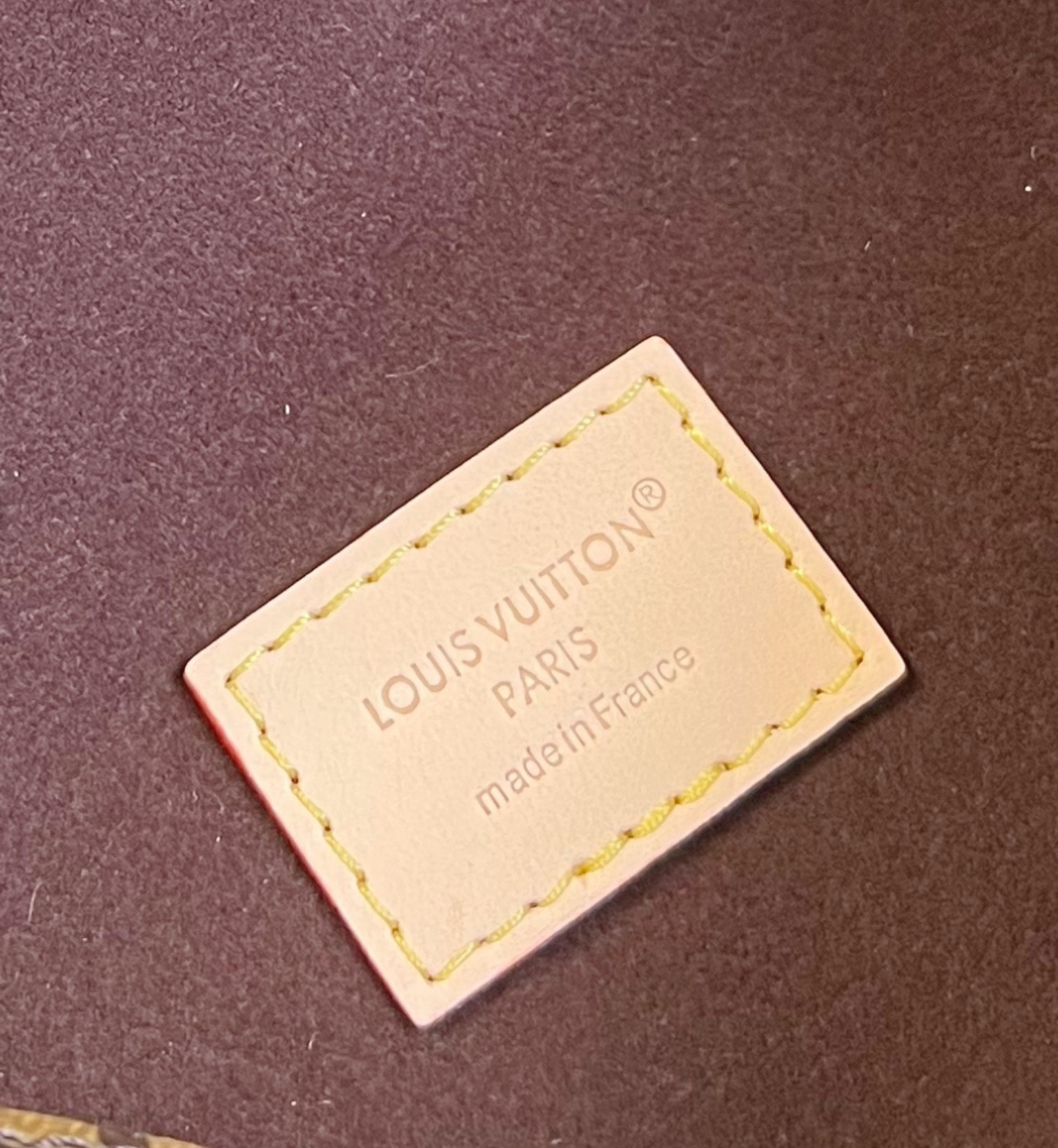 Louis Vuitton Pochette Camille Handbag