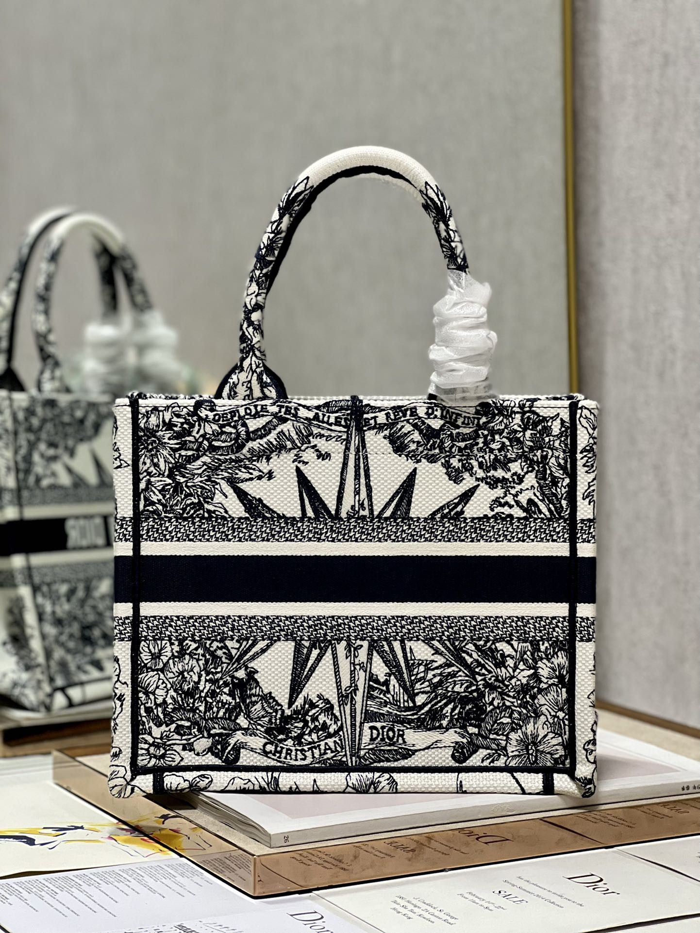 Small Dior Book Tote