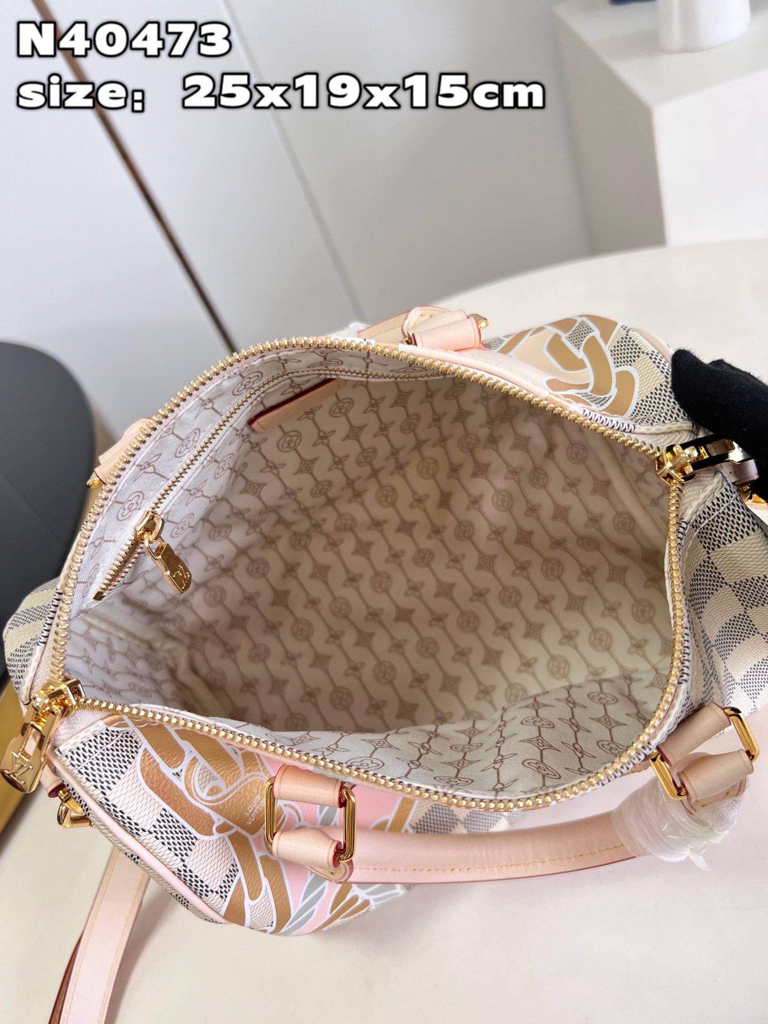 Louis Vuitton Speedy Bandoulière 25 Bag