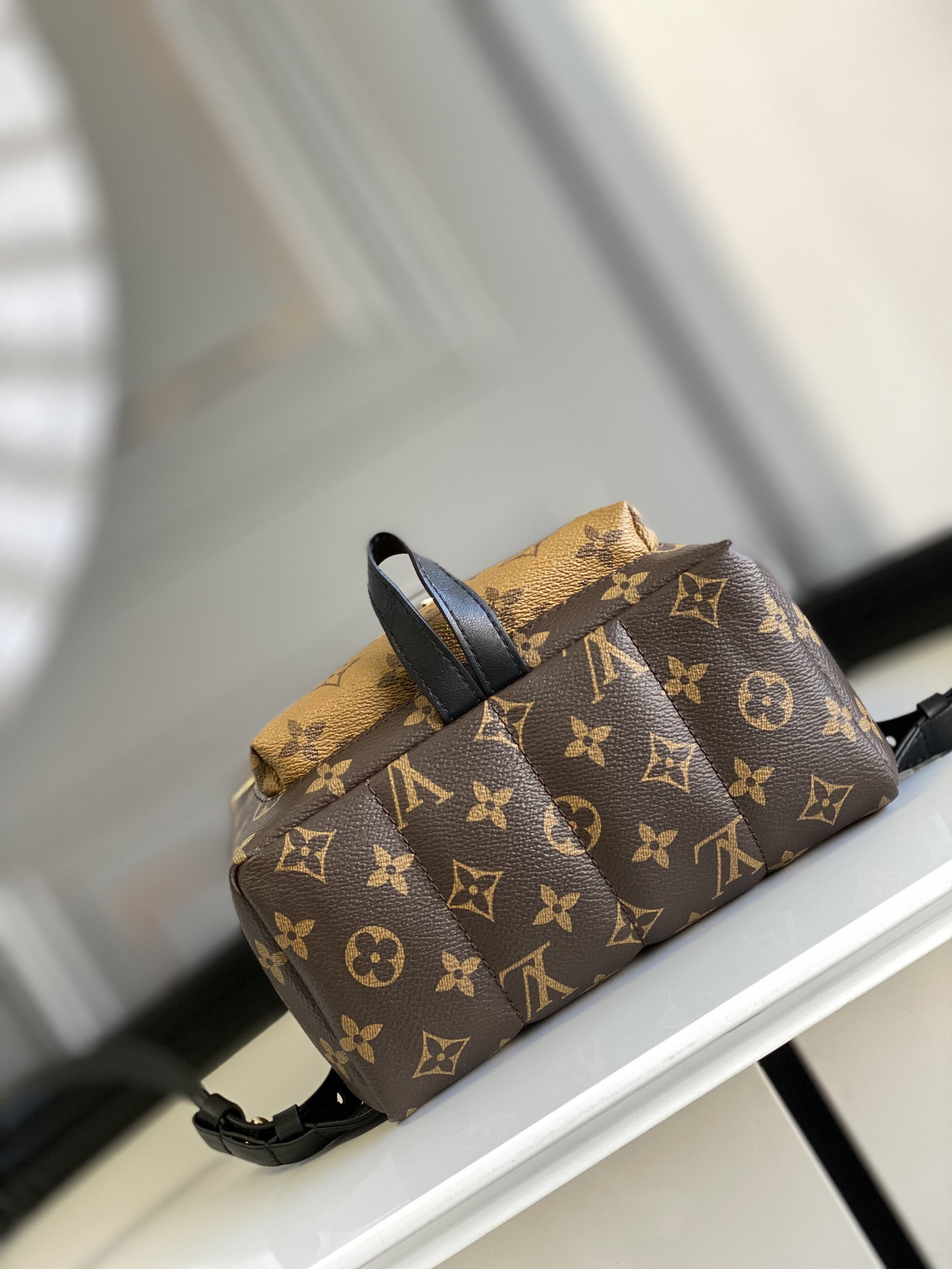 Louis Vuitton Palm Springs Bag