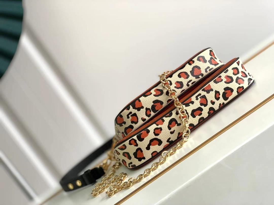 Louis Vuitton Multi Pochette Accessories Bag