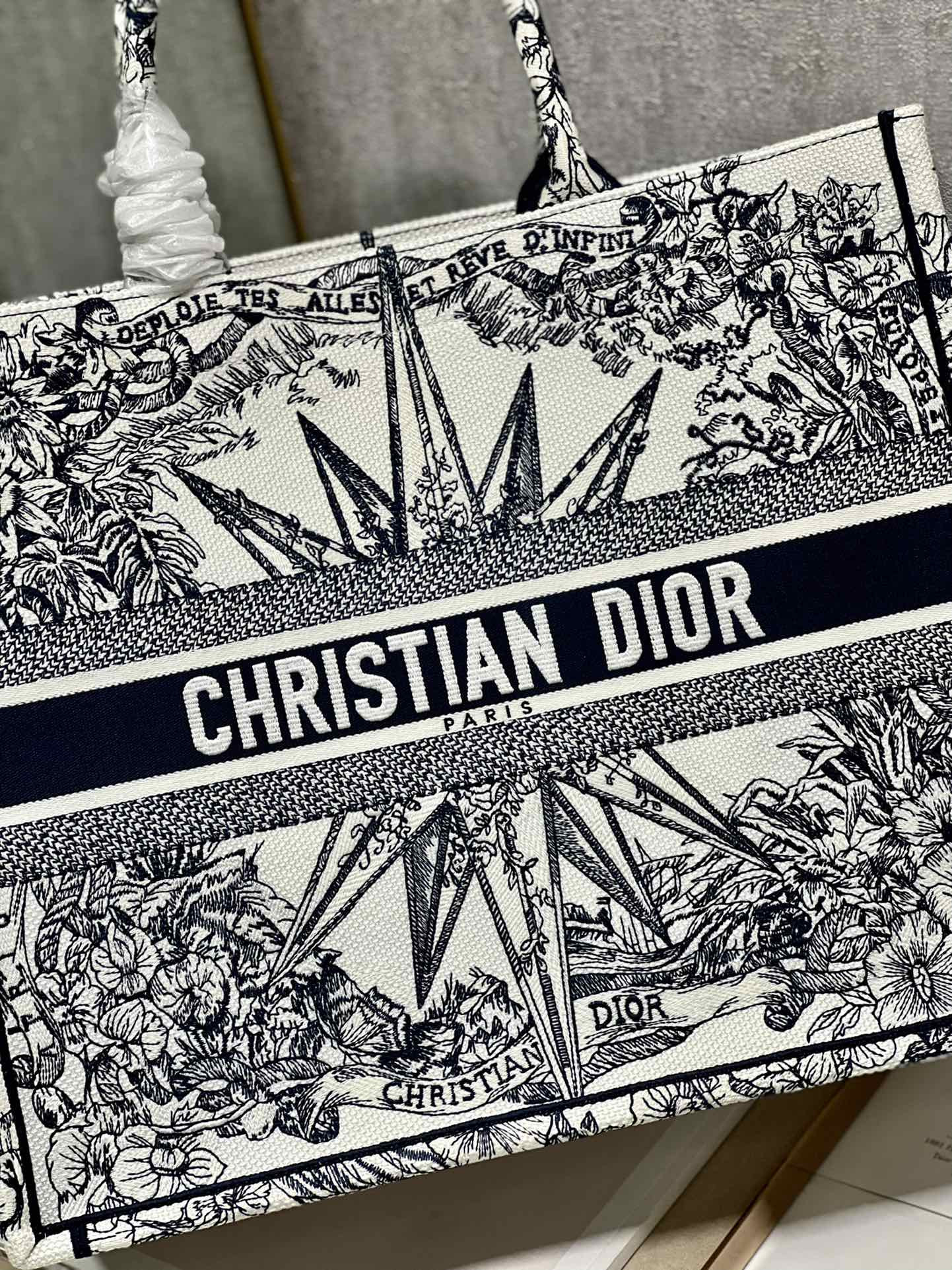 Large Dior Book Tote