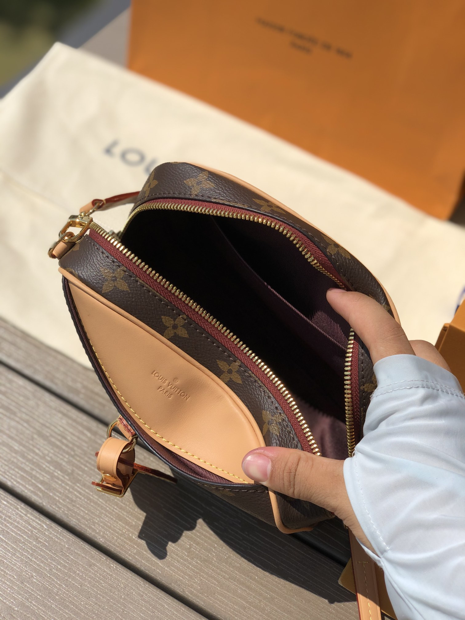 Louis Vuitton Hobo Dauphine Bag