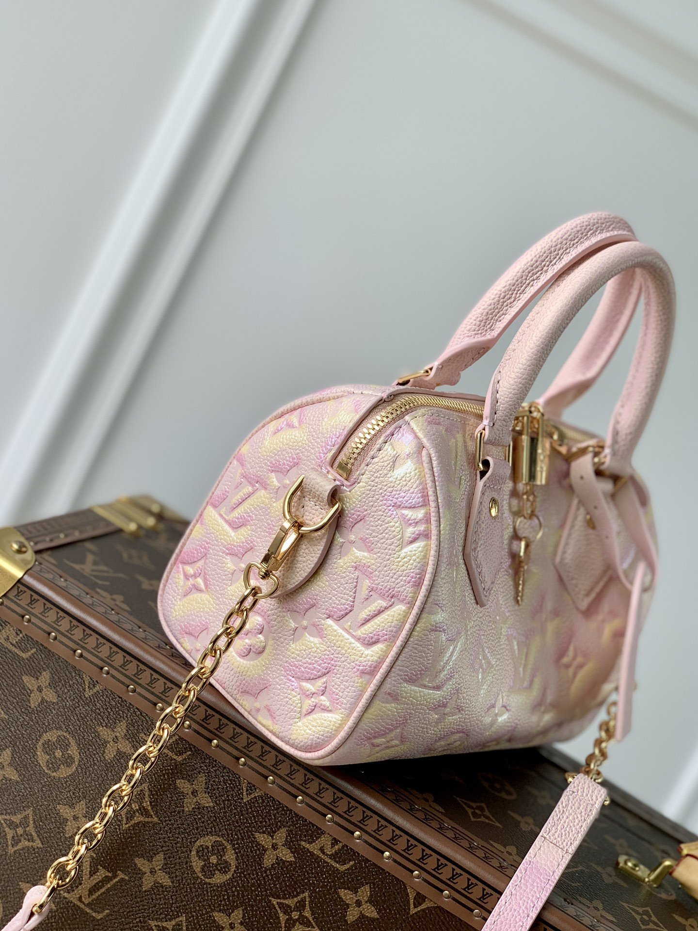Louis Vuitton Speedy Bandoulière 20 Bag