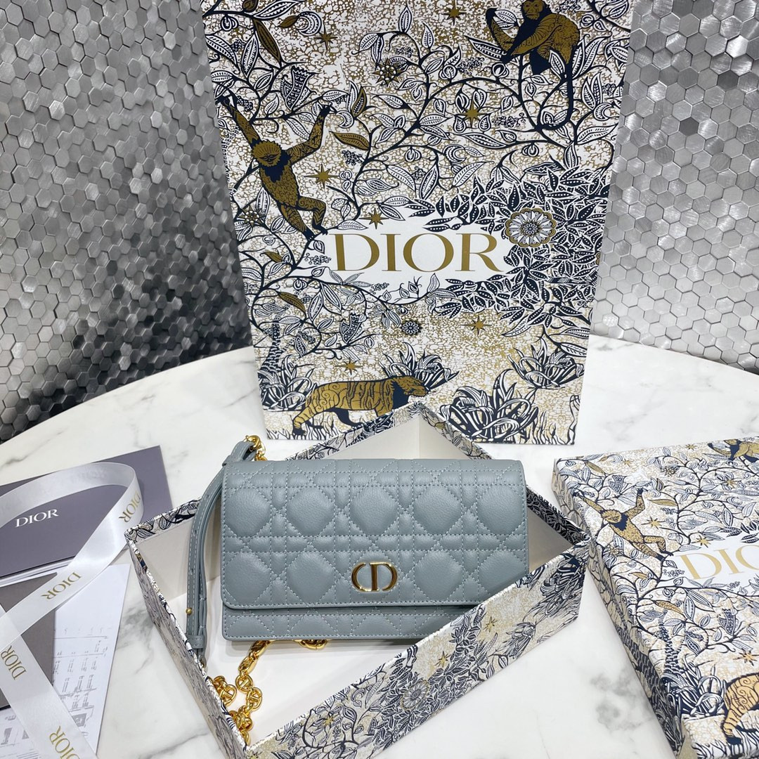 Dior Caro Pouch
