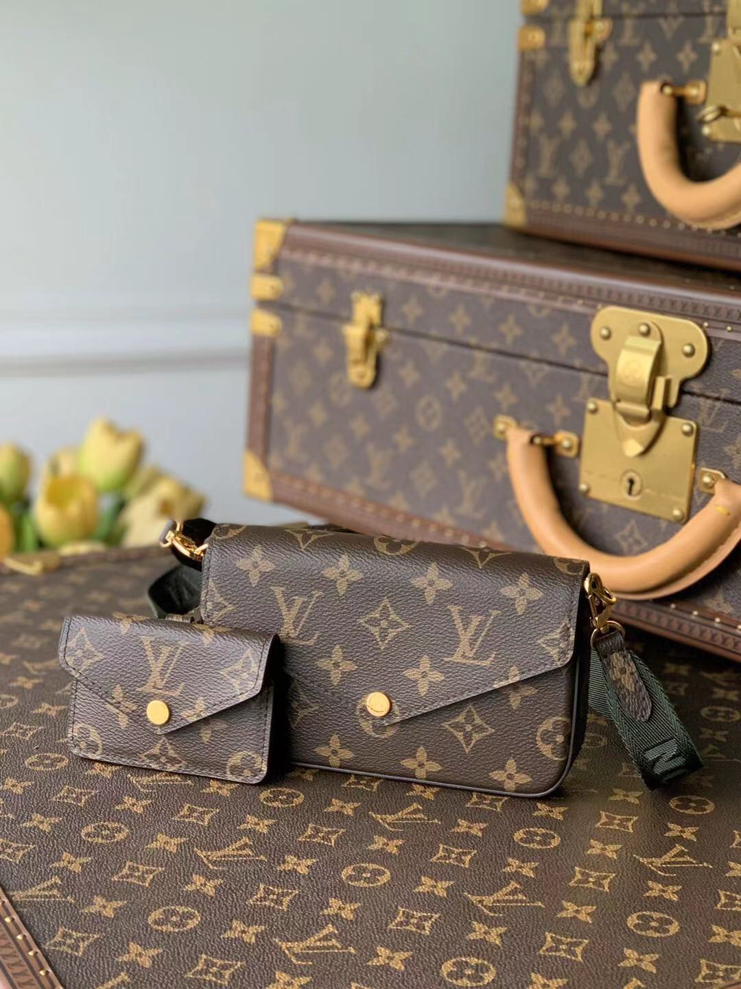 Louis Vuitton Multi Pochette Félicie Bag