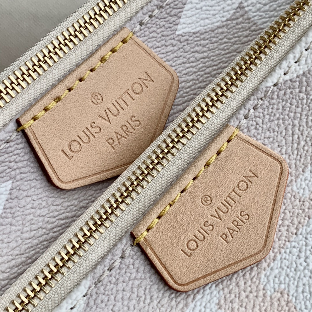 Louis Vuitton Multi Pochette Accessories Bag