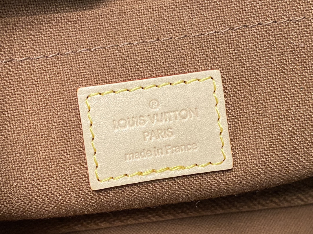 Louis Vuitton Multi Pochette Accessories Bag