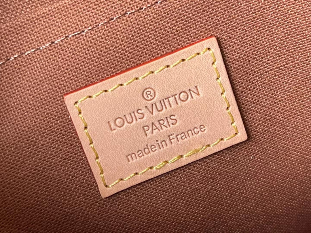 Louis Vuitton Multi Pochette Accessories Bag