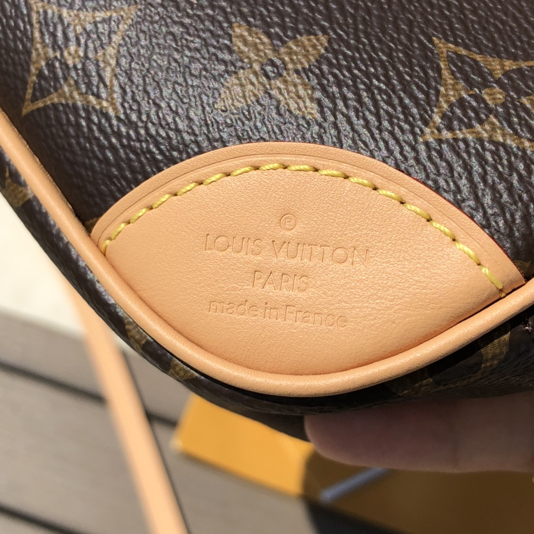 Louis Vuitton Hobo Dauphine Bag