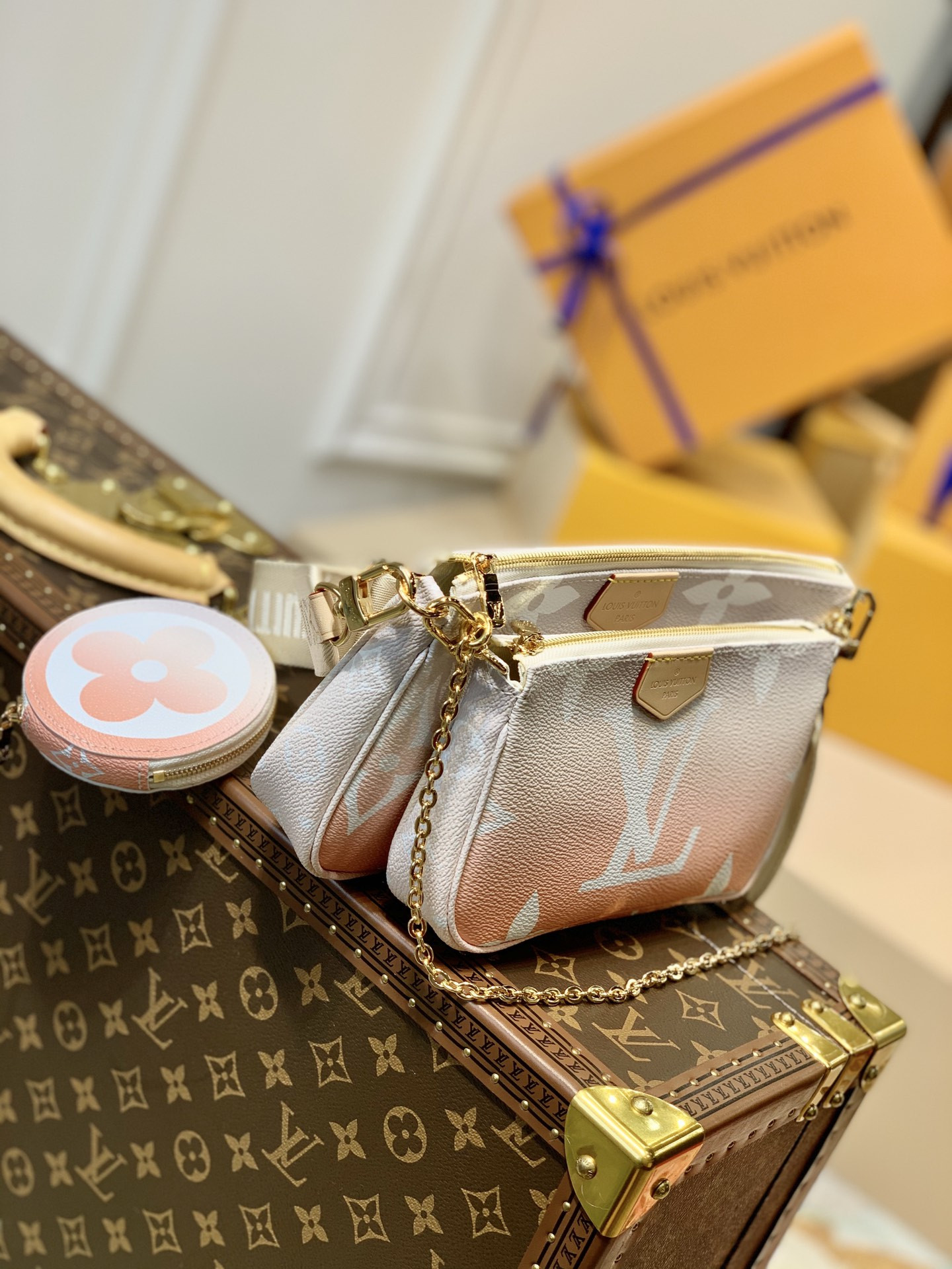 Louis Vuitton Multi Pochette Accessories Bag