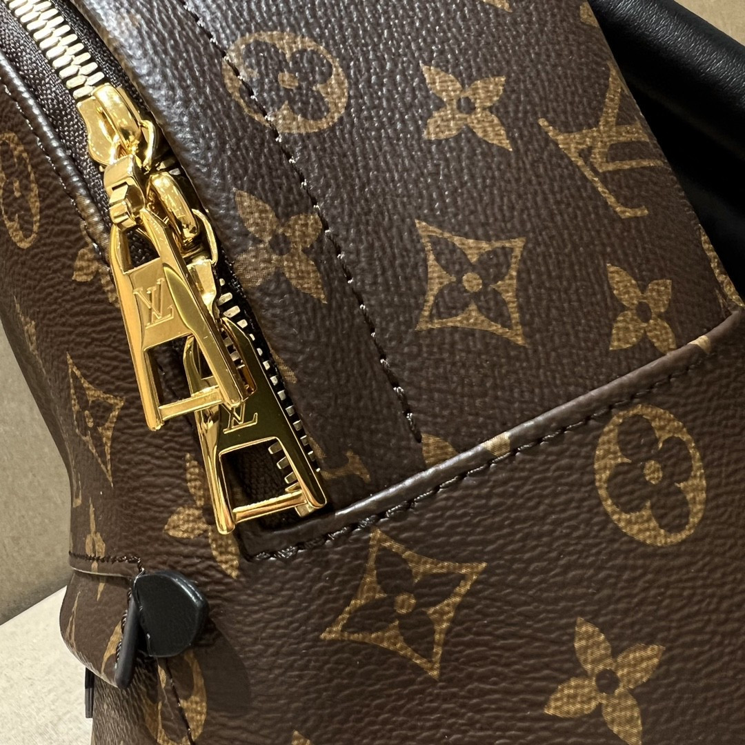 Louis Vuitton Palm Springs Bag