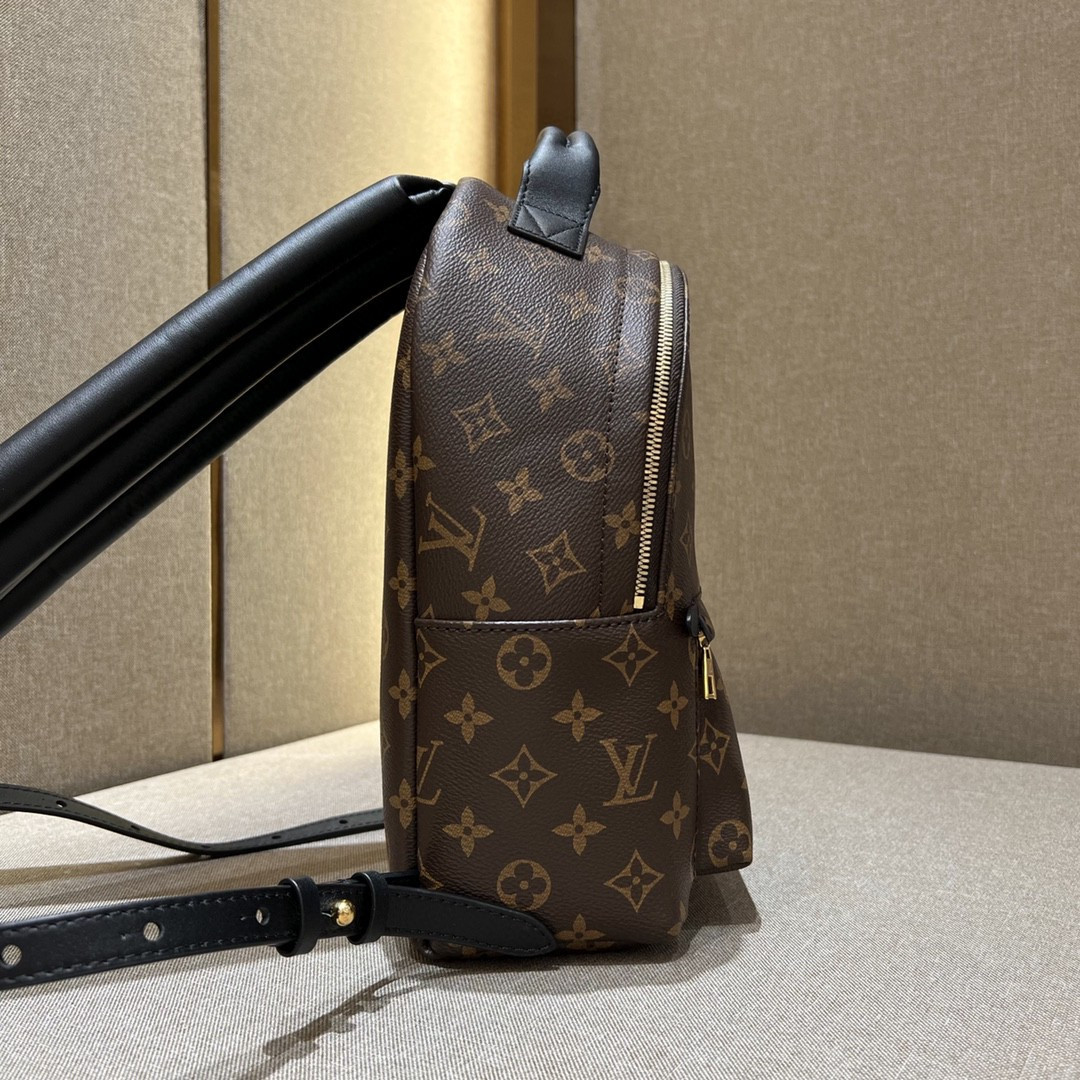 Louis Vuitton Palm Springs Bag
