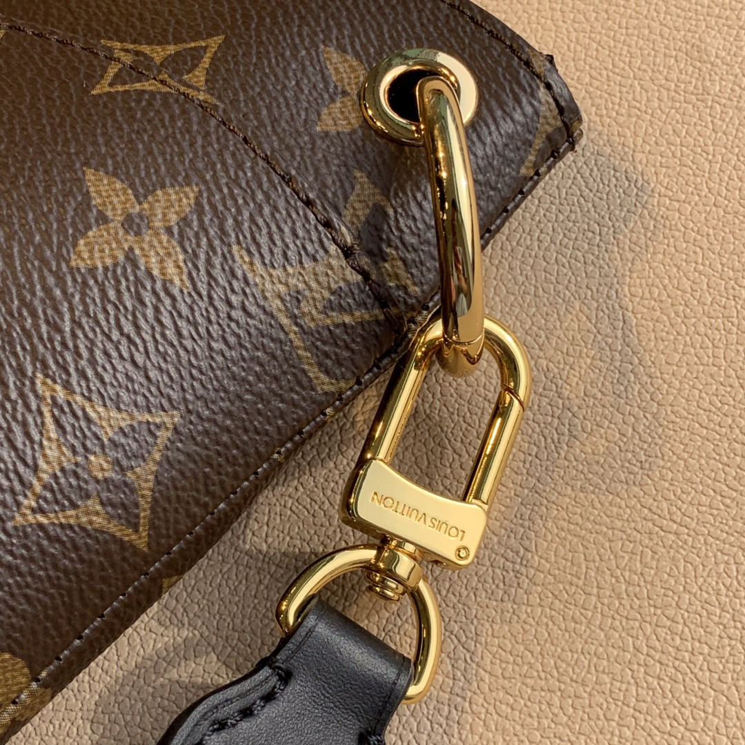 Louis Vuitton Odéon Bag