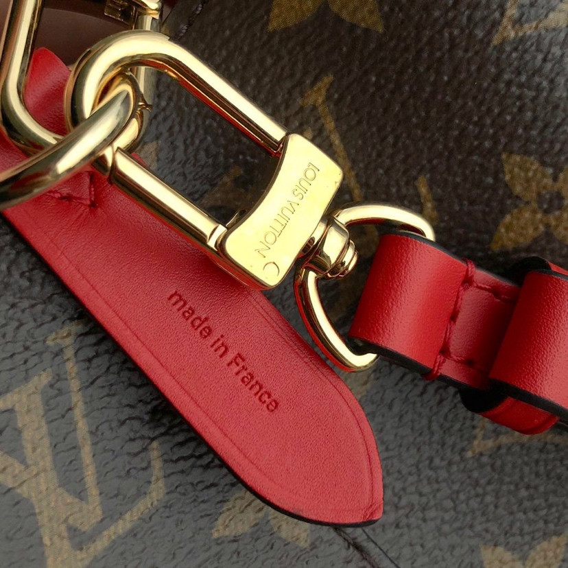 Louis Vuitton Néonoé Bag