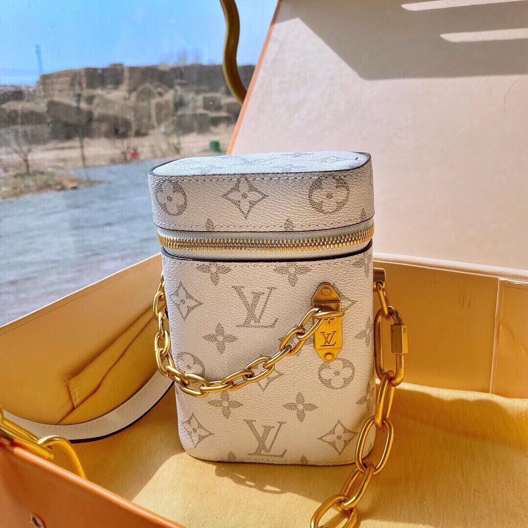 Louis Vuitton Phone Box Bag