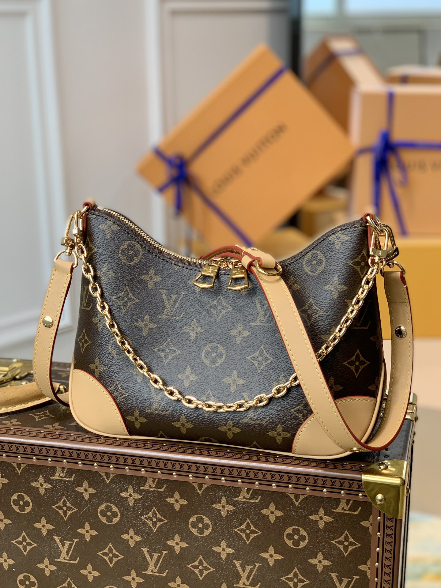 Louis Vuitton Odéon Bag