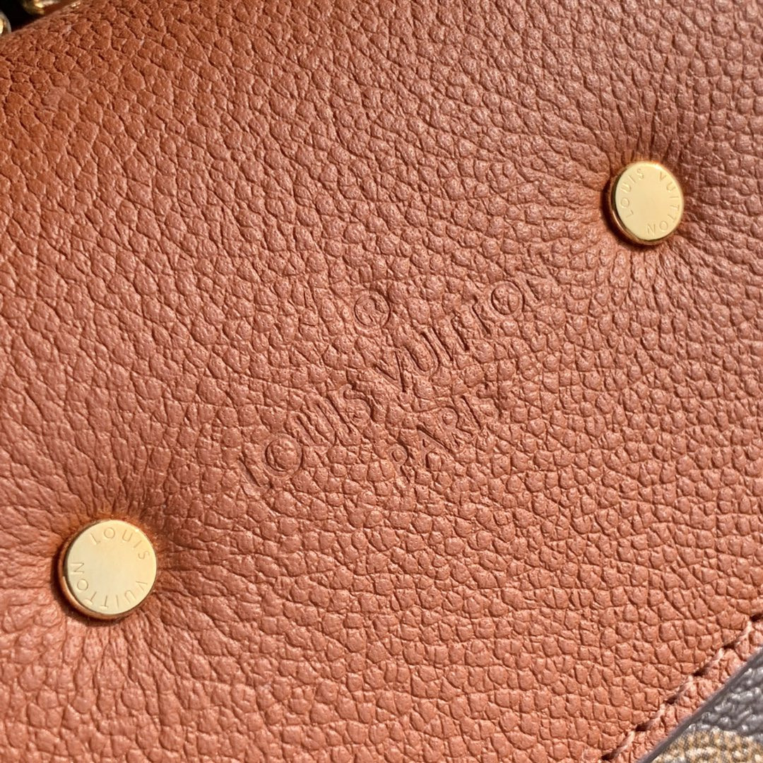 Louis Vuitton Saint Placide Chain Bag