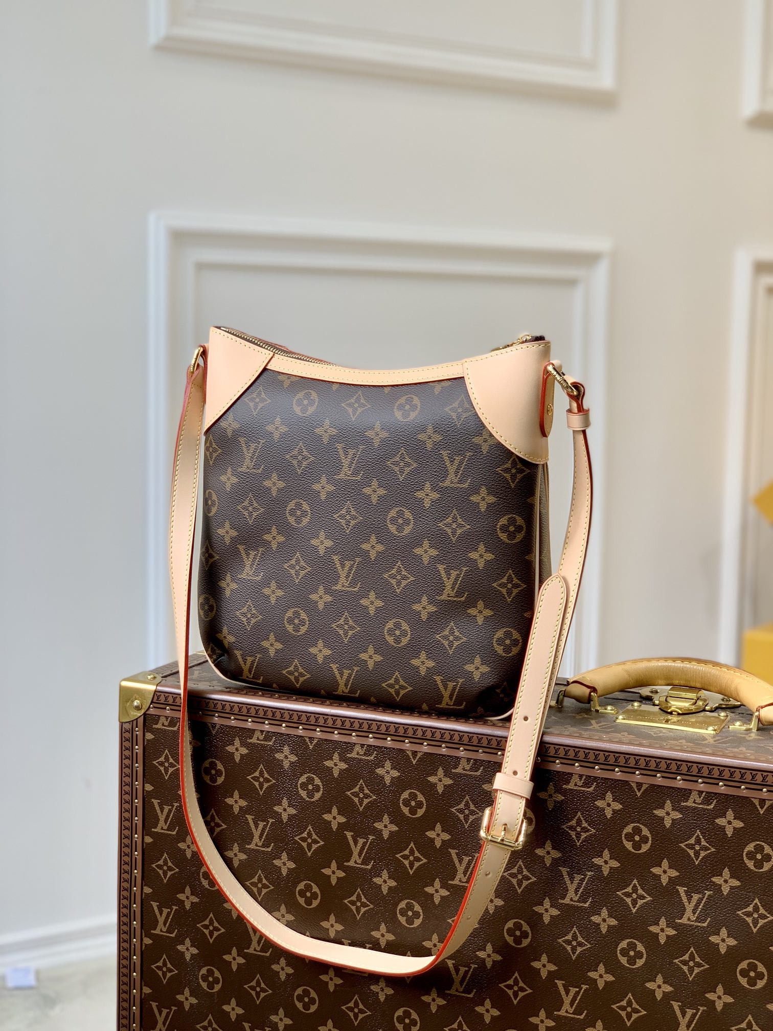 Louis Vuitton Odéon Bag
