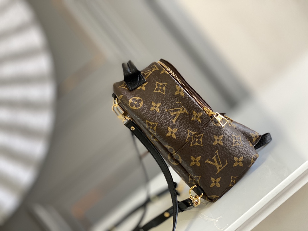 Louis Vuitton Palm Springs Bag