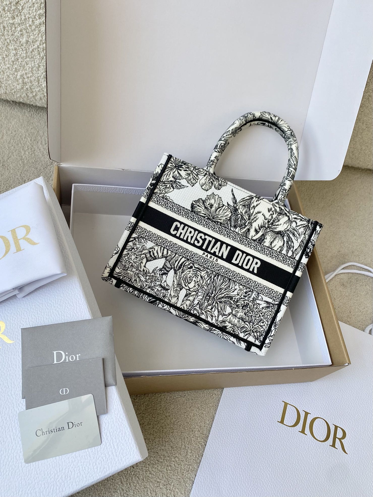 Small Dior Book Tote