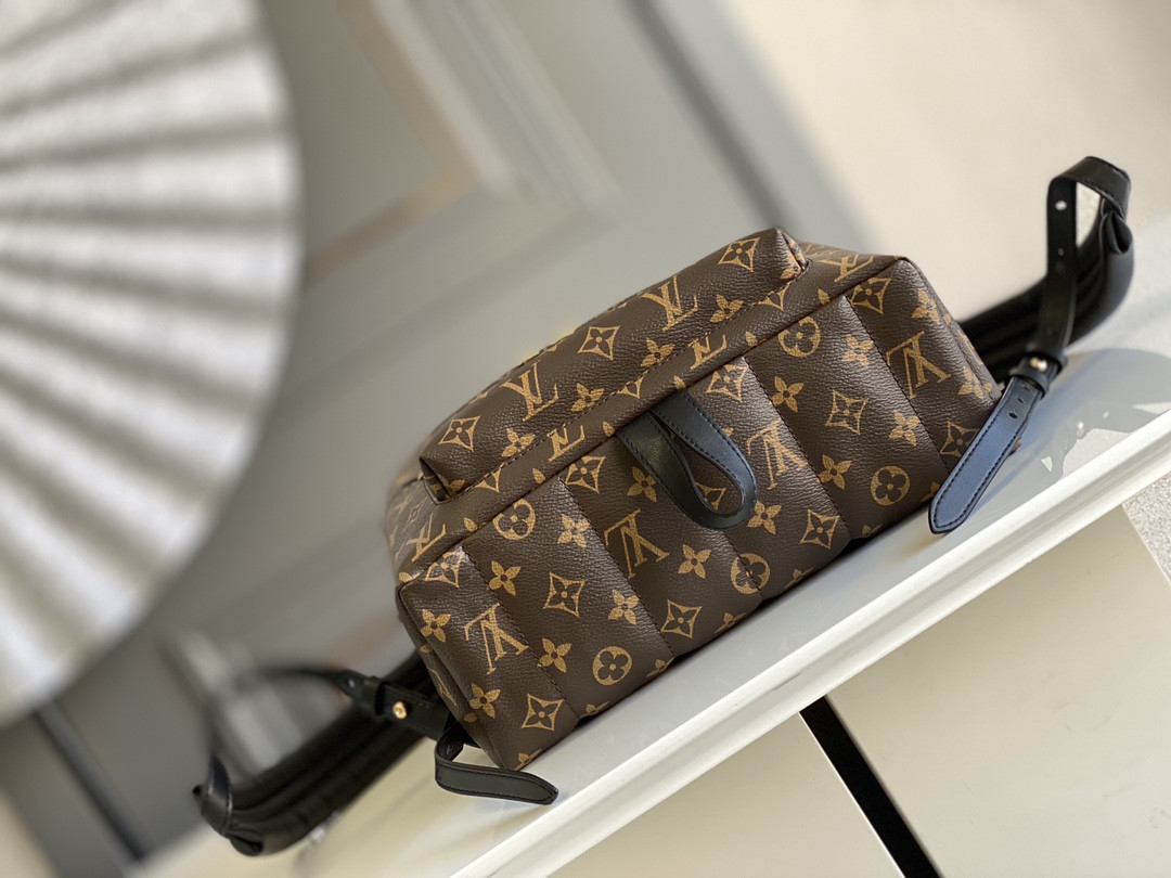 Louis Vuitton Palm Springs Bag