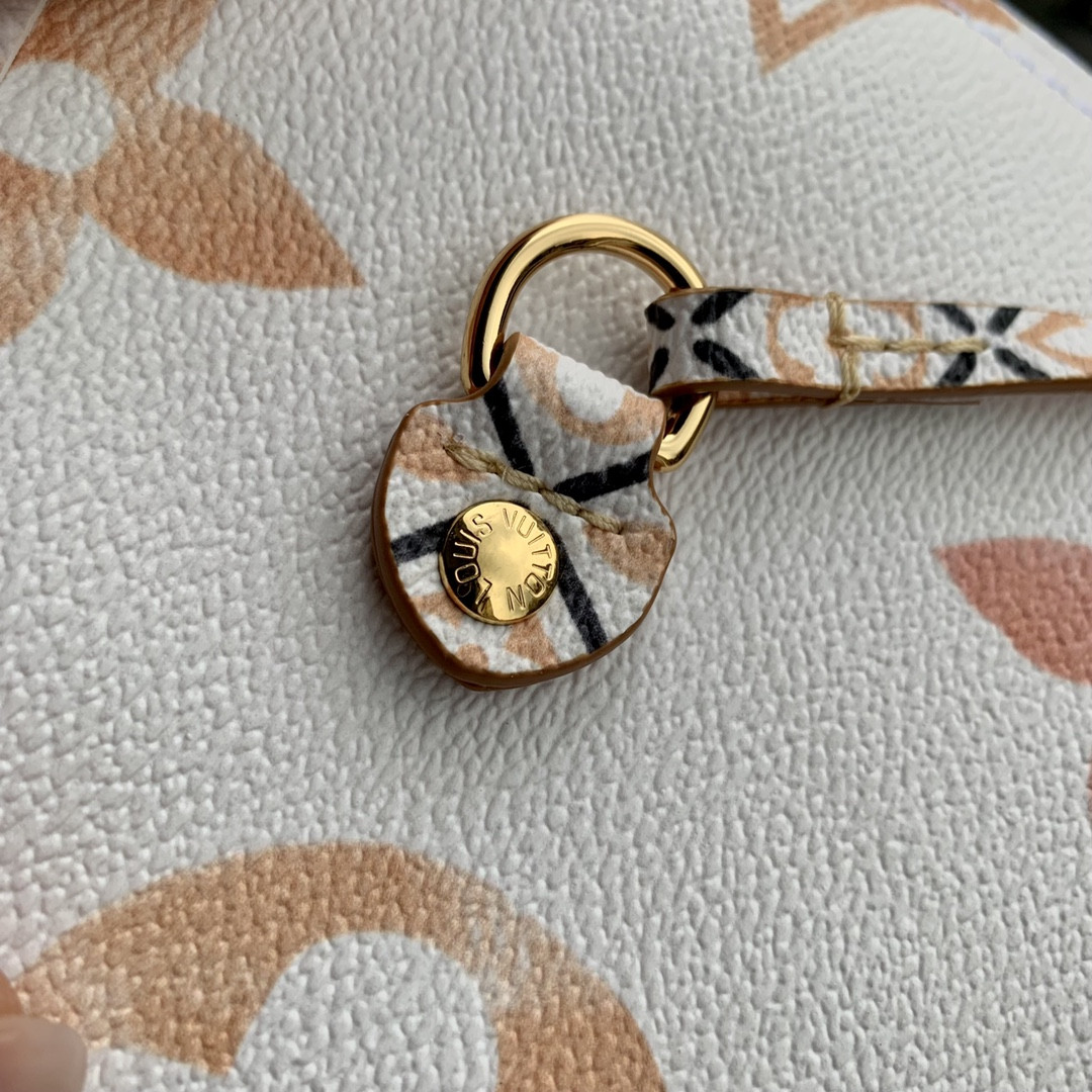 Louis Vuitton Neverfull Bag