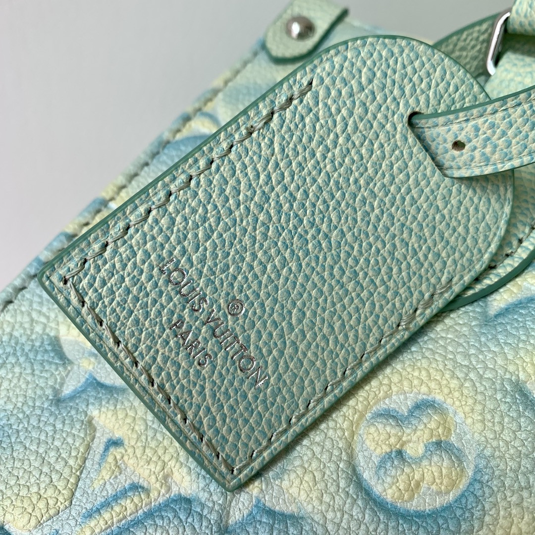 Louis Vuitton Onthego Bag