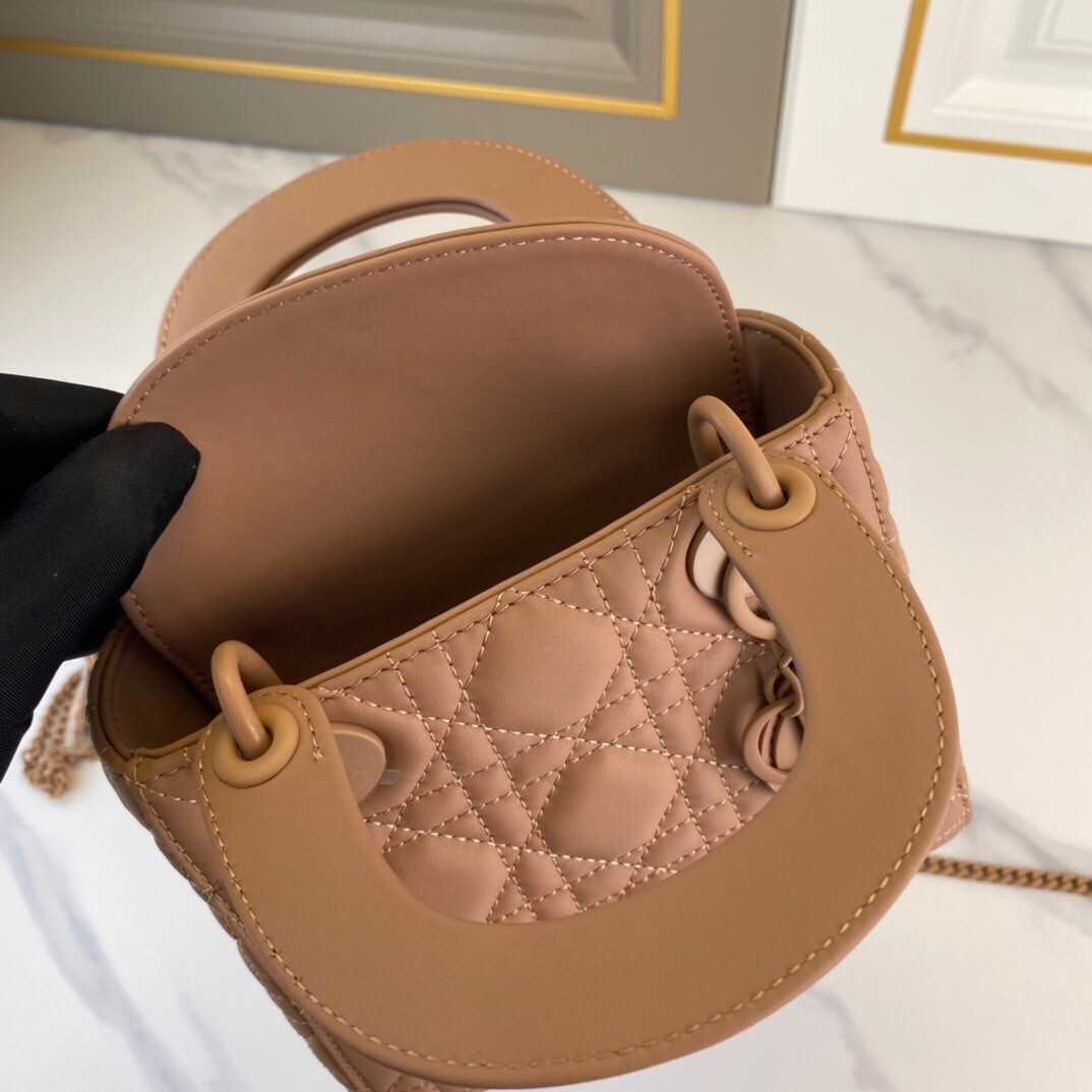 Mini Lady Dior Bag