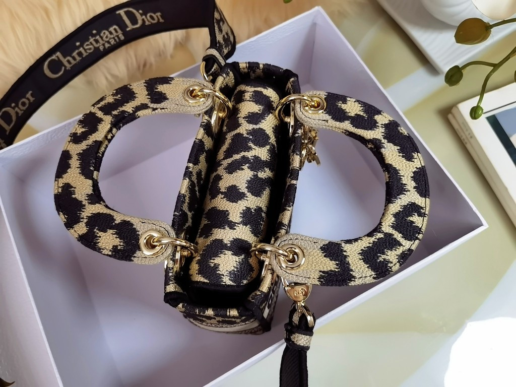 Mini Lady Dior Bag