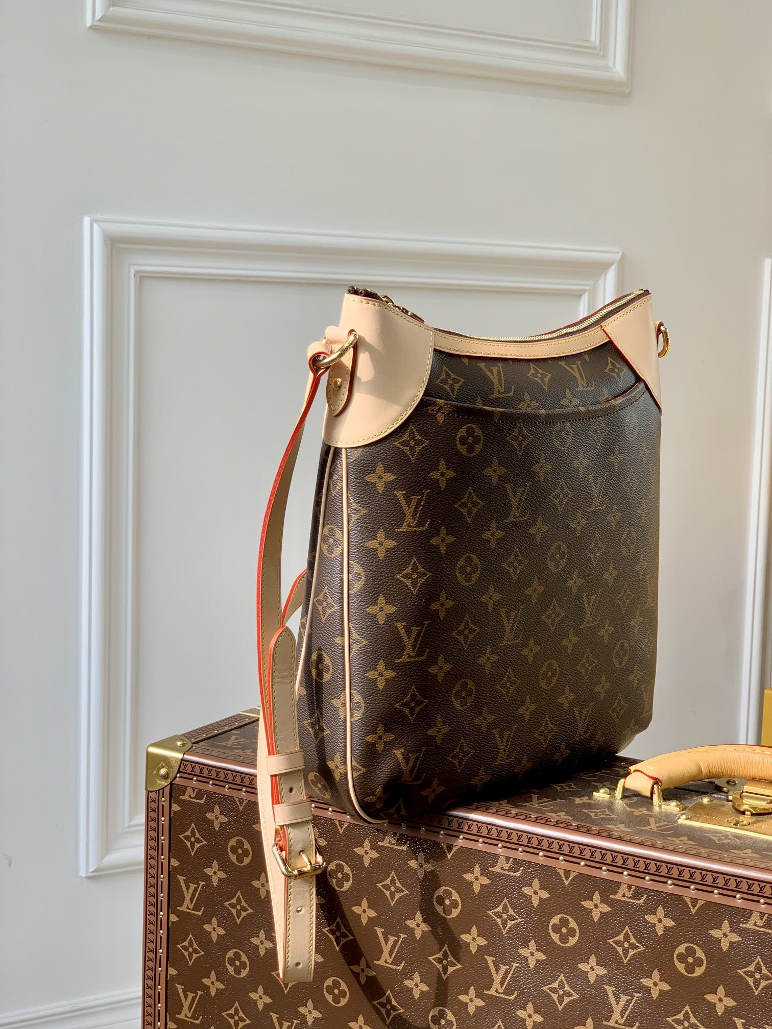 Louis Vuitton Odéon Bag