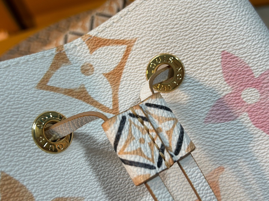 Louis Vuitton Néonoé Bag