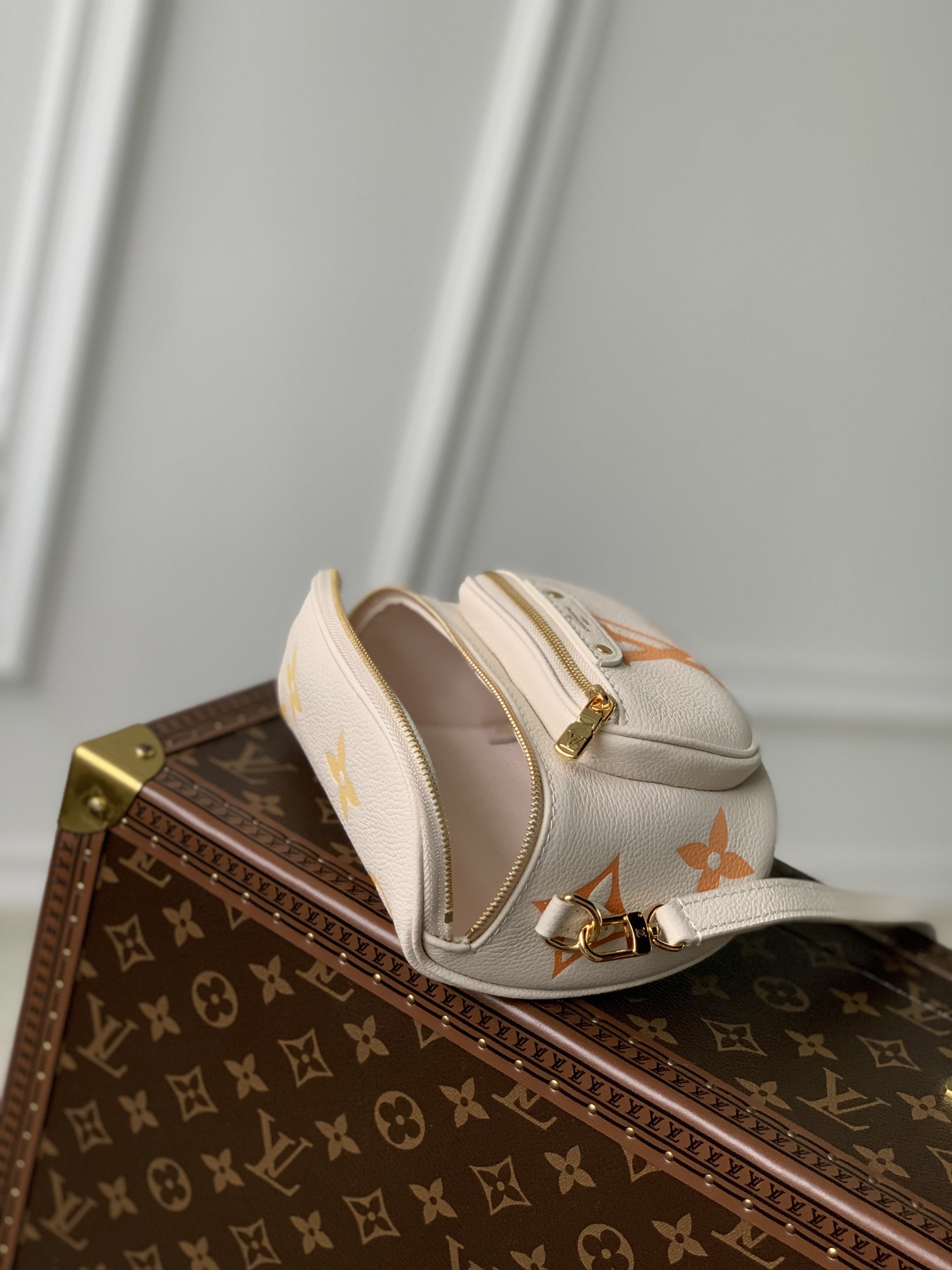 Louis Vuitton Bumbag Bag