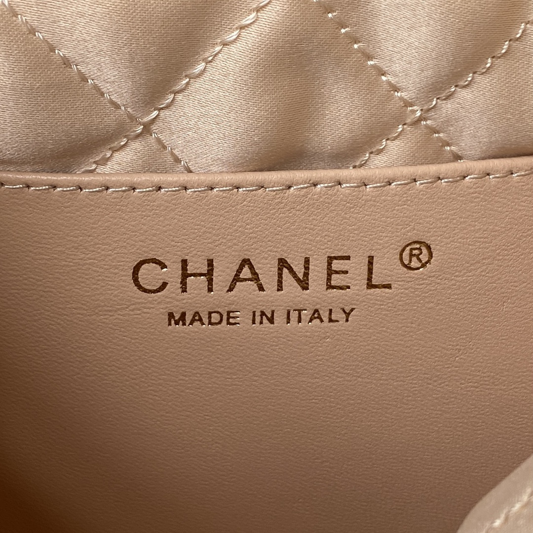 Chanle 22 Backpack Mini