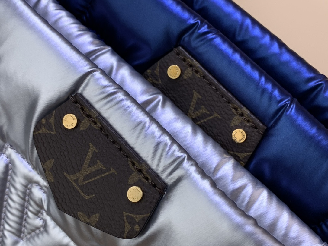 Louis Vuitton Maxi Multi Pochette Accessoires Bag