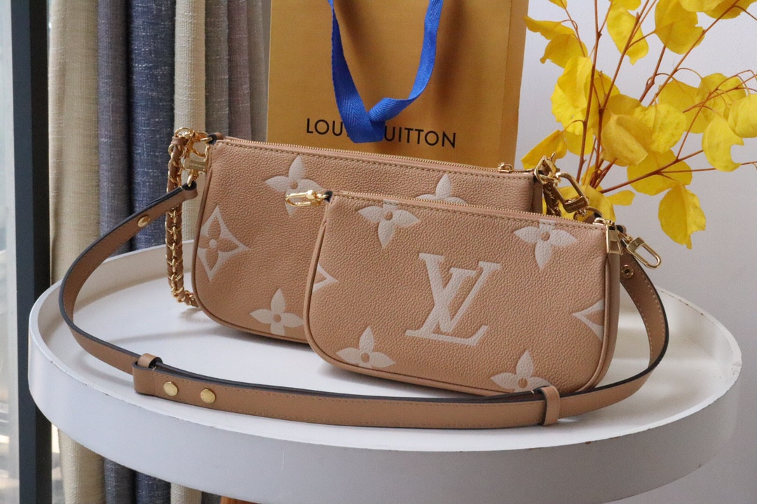 Louis Vuitton Multi Pochette Accessories Bag