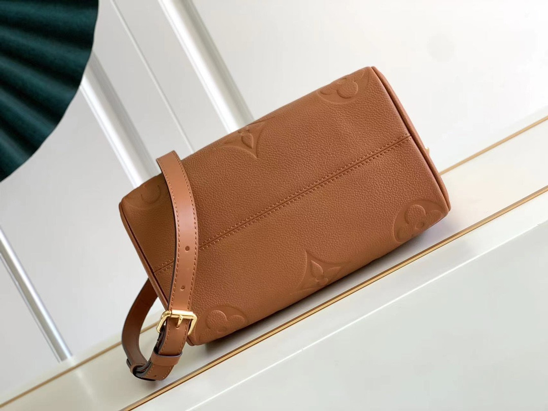 Louis Vuitton Speedy Bandoulière 25 Bag