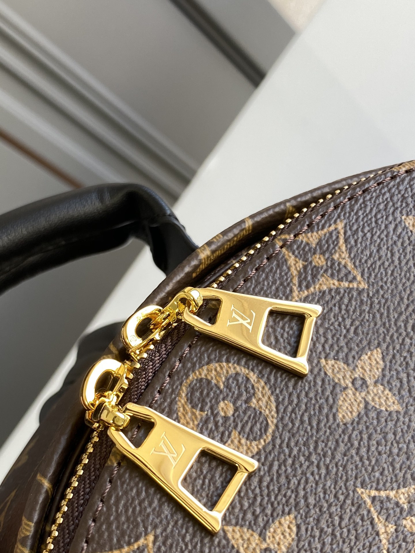 Louis Vuitton Palm Springs Bag