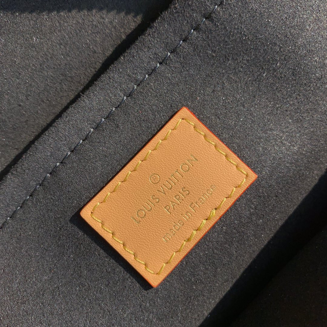 Louis Vuitton Moon Bag