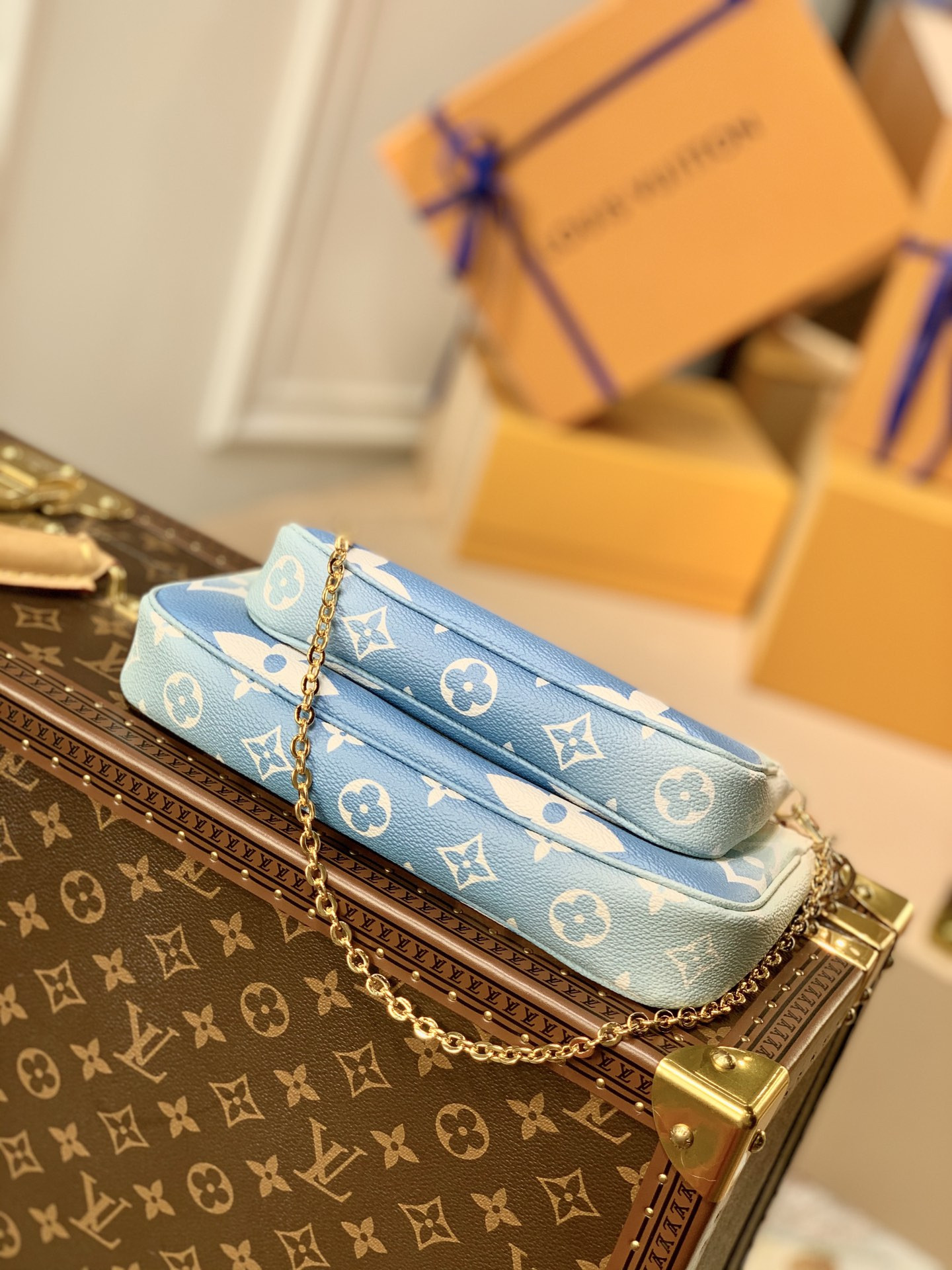 Louis Vuitton Multi Pochette Accessories Bag